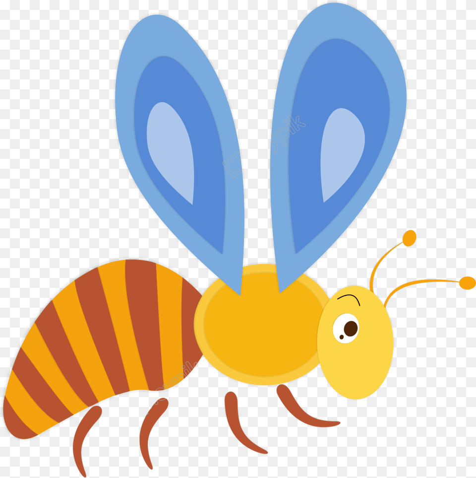 Bee Insect, Animal, Invertebrate, Wasp, Honey Bee Free Transparent Png