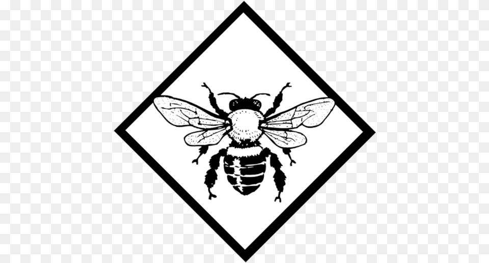 Bee Logo Bee Black And White Clipart, Animal, Insect, Invertebrate, Wasp Free Png