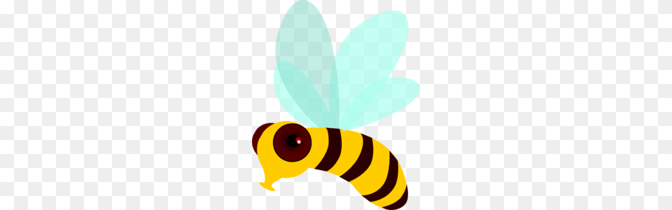 Bee Movie Clip Art, Animal, Insect, Invertebrate, Wasp Free Transparent Png