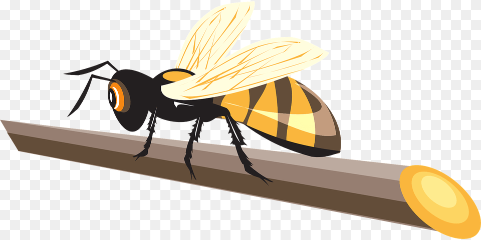 Bee On A Stick Clipart, Animal, Honey Bee, Insect, Invertebrate Free Png