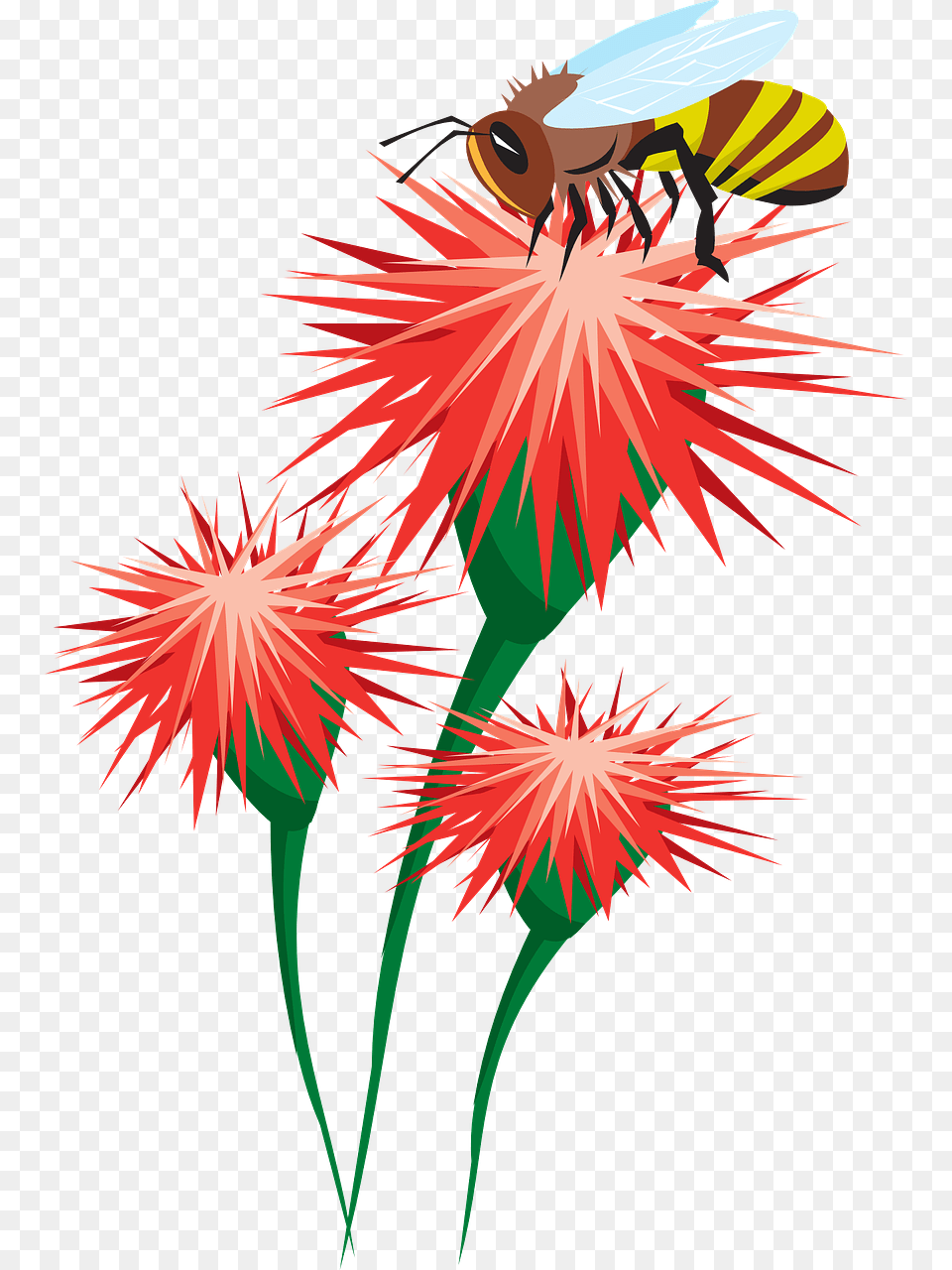 Bee On Flower Clipart, Fireworks, Plant Png
