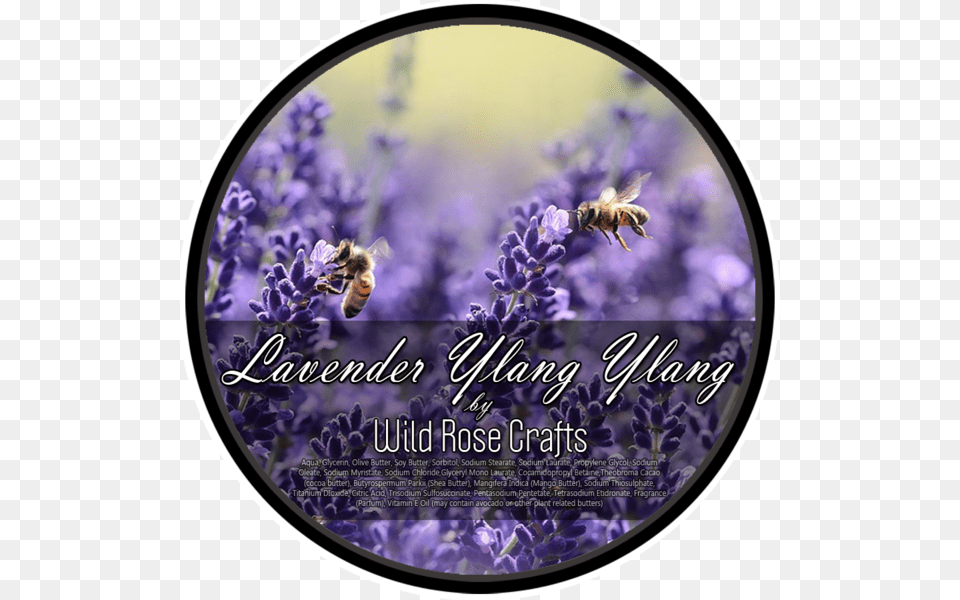 Bee On Lavender Flower Byliny Miododajne, Animal, Honey Bee, Insect, Invertebrate Free Transparent Png