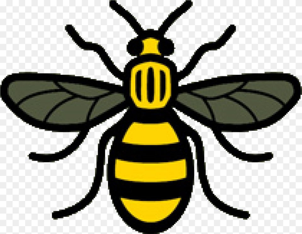 Bee Picture Download Honey Manchester Worker Bee Logo, Animal, Insect, Invertebrate, Wasp Free Transparent Png
