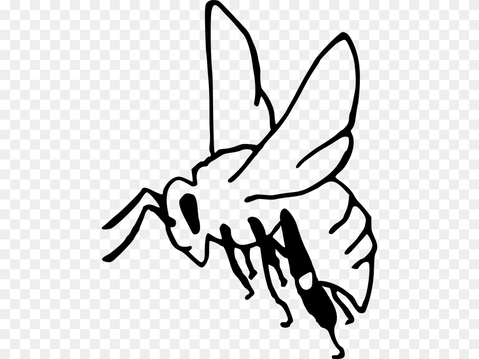 Bee Pollination Insect Garden Honey Sting Outline Madhumakkhi Clipart Black And White, Gray Free Transparent Png