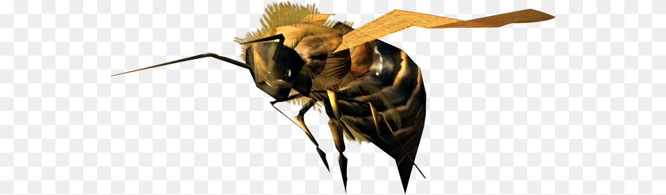 Bee Portable Network Graphics, Wasp, Invertebrate, Animal, Insect Free Png Download