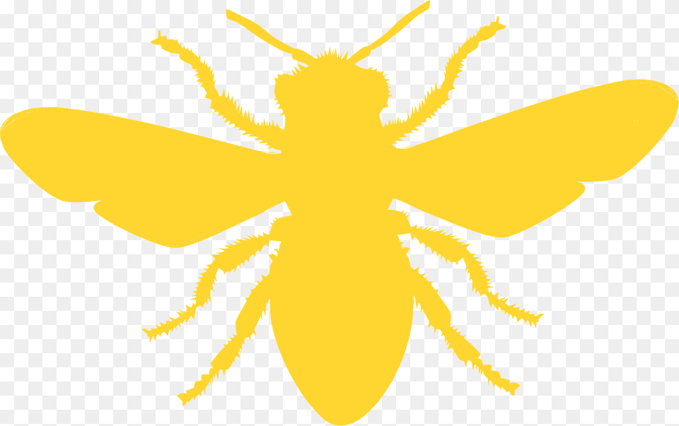 Bee Silhouette, Animal, Insect, Invertebrate, Wasp Free Png Download