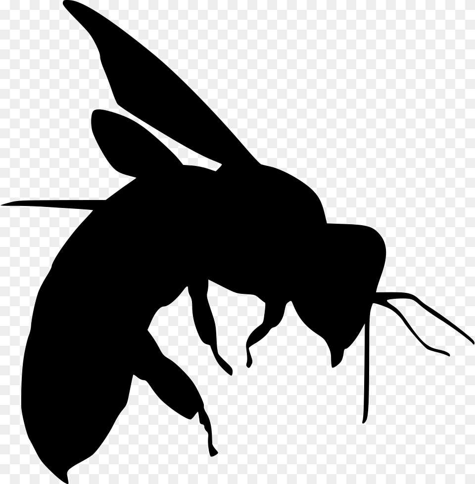 Bee Stencils Design Birds, Animal, Stencil, Silhouette, Wasp Free Png Download