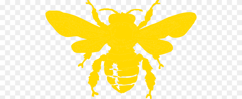 Bee Sting Clipart, Animal, Insect, Invertebrate, Wasp Png Image