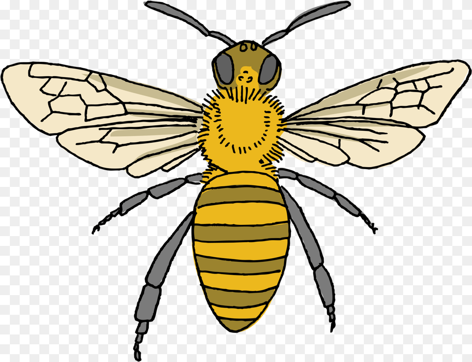 Bee Tattoo, Animal, Insect, Invertebrate, Wasp Png Image
