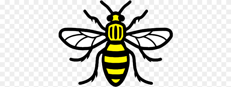 Bee Vector 1 Image Manchester Bee, Animal, Insect, Invertebrate, Wasp Png