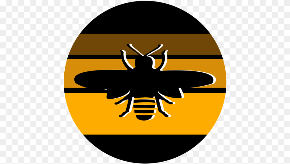 Bee Vector, Animal, Insect, Invertebrate, Wasp Png