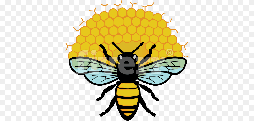 Bee Vector Black And White, Animal, Insect, Invertebrate, Wasp Png
