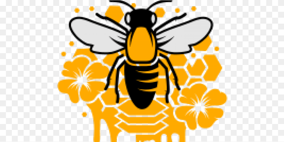 Bee With Crown Honeybee, Animal, Invertebrate, Honey Bee, Insect Free Png