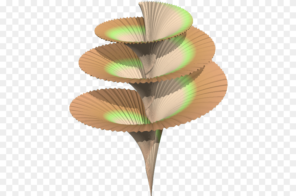 Beech, Coil, Spiral, Animal, Bird Free Png