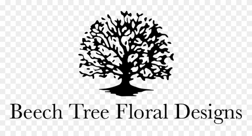 Beech Tree Floral Designs Beech Tree Floral Design, Gray Free Transparent Png