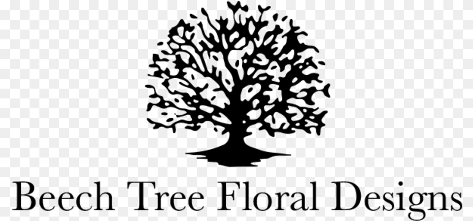 Beech Tree Floral Designs Tree Floral, Gray Free Png Download