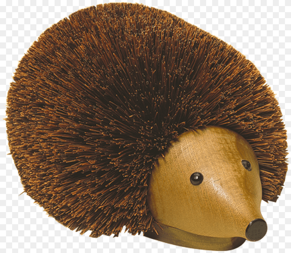 Beech Wood Shoe Cleaning Hedgehog Shoe, Fungus, Plant, Brush, Device Free Transparent Png
