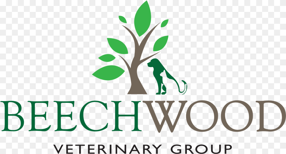 Beechwood Veterinary Group Beechwood Veterinary Group Ltd, Green, Plant, Leaf, Vegetation Free Png Download