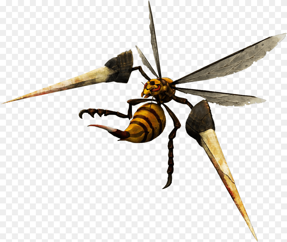 Beedrill Hornet, Animal, Bee, Insect, Invertebrate Free Png Download