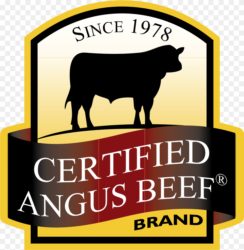 Beef, Angus, Animal, Bull, Cattle Free Png