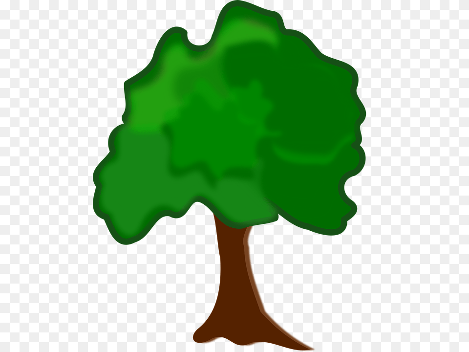 Beef, Green, Plant, Tree, Vegetation Free Png