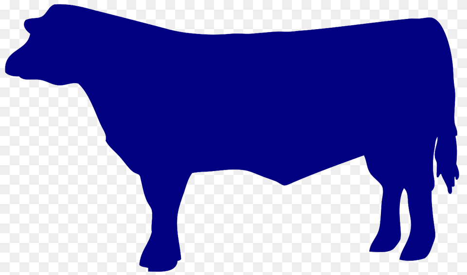Beef, Animal, Bull, Mammal, Cattle Free Png