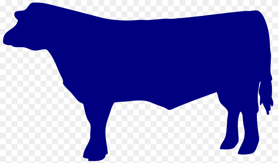 Beef Black And White Stock Beef Steer Huge Freebie, Animal, Bull, Mammal, Cattle Free Transparent Png