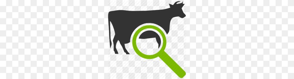 Beef Cattle Clipart, Magnifying Free Png