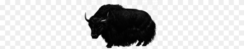 Beef Cattle Clipart, Animal, Livestock, Mammal, Yak Free Png