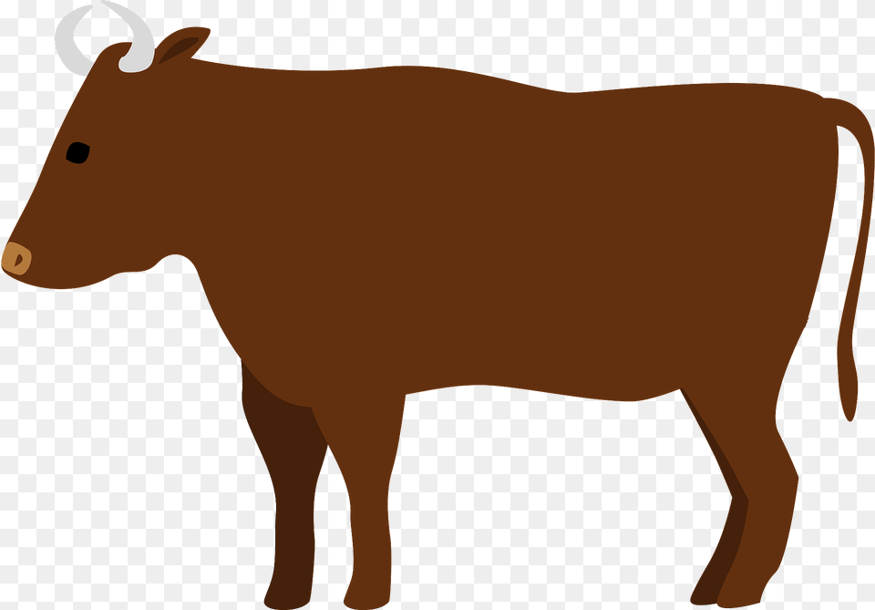 Beef Cattle Clipart, Animal, Bull, Mammal, Livestock Free Png