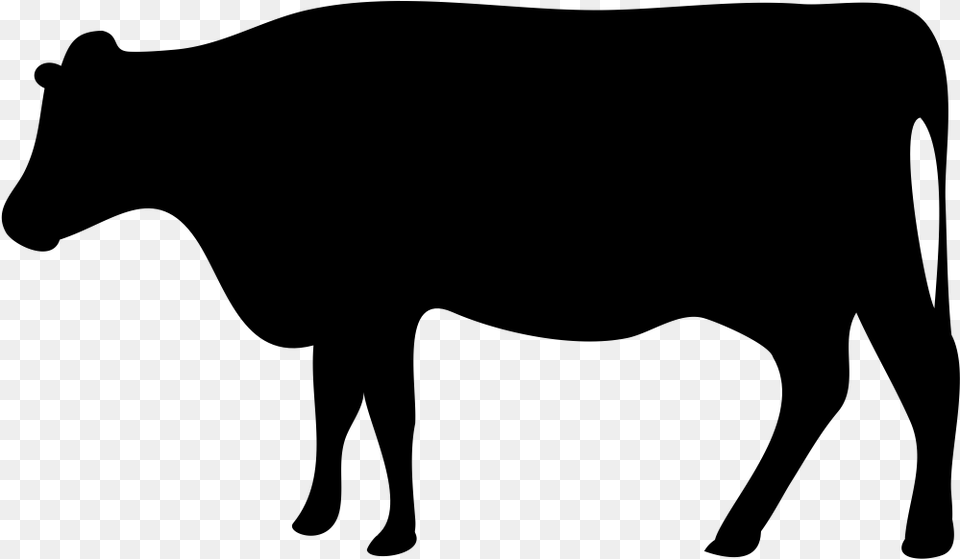 Beef Cattle Dairy Farming Livestock Dairy Cattle Transparent Beef Cow Icon, Gray Png Image