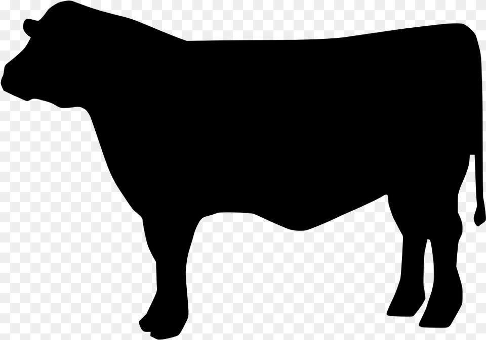 Beef Cattle Svg Clipart Beef Cow Svg File, Gray Free Png Download