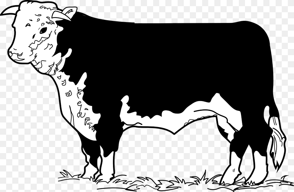 Beef Clipart Cow Drawing Beef Cow Clip Art, Livestock, Animal, Baby, Cattle Free Png Download