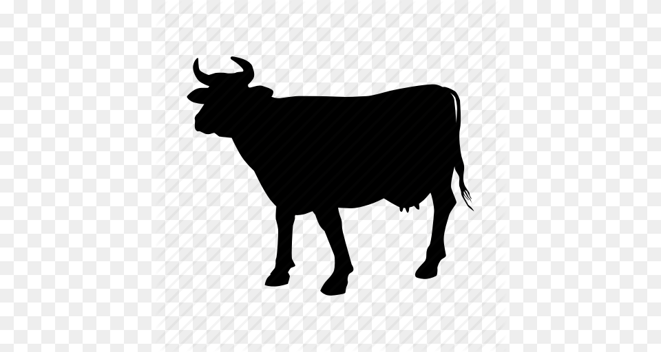 Beef Cow Steak Vaca Icon, Animal, Bull, Mammal, Cattle Free Png Download