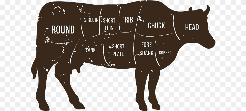 Beef Cuts Butcher Cuts Of Beef, Animal, Mammal, Pig, Hog Free Png Download
