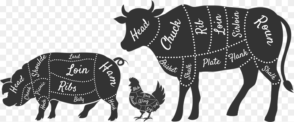 Beef Cuts Clipart, Animal, Bull, Mammal, Cattle Free Png