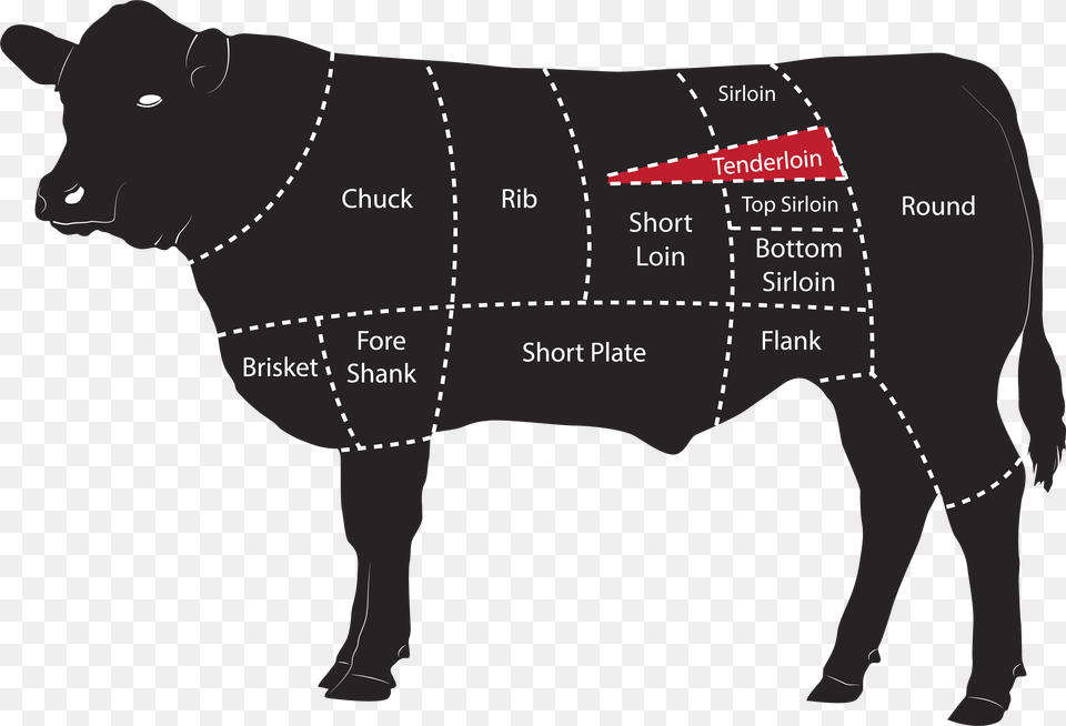 Beef Meat Cuts Tenderloin Quarter Cut Of Cattle, Animal, Bull, Mammal, Adult Free Png