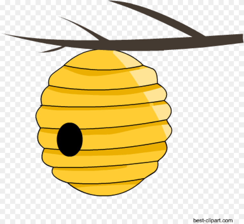 Beehive Clipart Free Honey Bee And Beehive Clip Ar Bee Hive Clip Art Free, Food, Egg Png