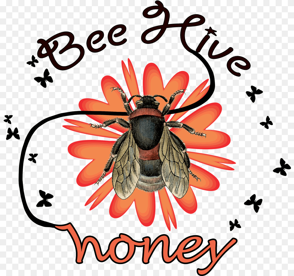 Beehive Honey Illustration Vintage Bee Set Of 4 Temporary Tattoos Lasts 3 To, Animal, Insect, Invertebrate, Wasp Png