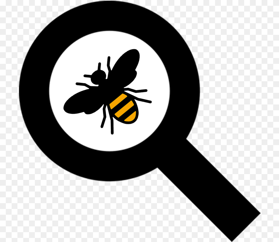 Beemagg Sitzbank Suzuki B King, Animal, Bee, Insect, Invertebrate Png