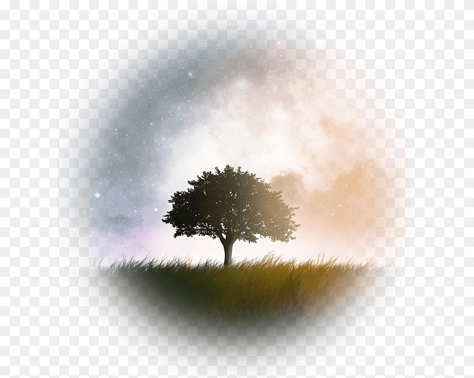 Been Taught The Wrong Way To Manifest Amp It Has Galaxy Tree Wallpaper Iphone, Photography, Plant, Sphere, Plate Free Transparent Png