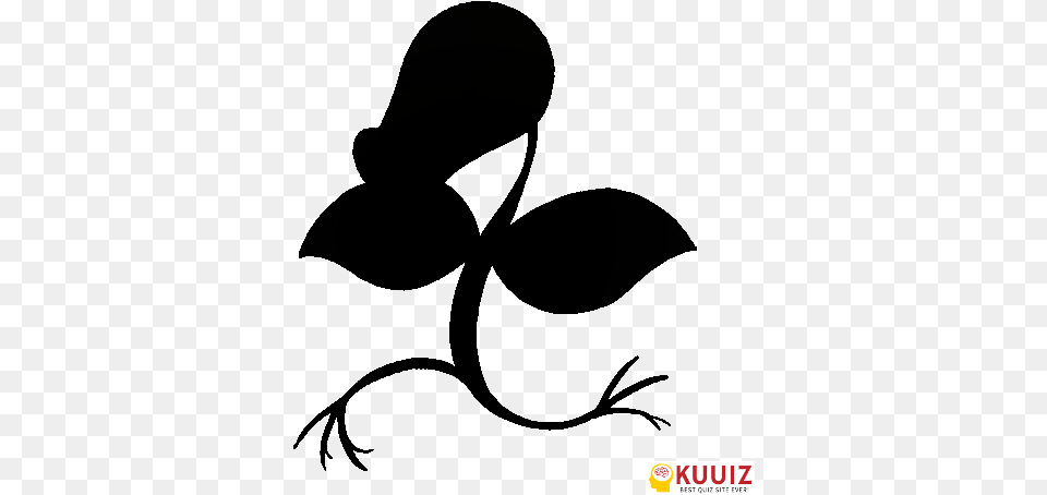 Beepinbell Victreebel Victorbell Bellsprout Brussel Sprout Pokemon Png Image