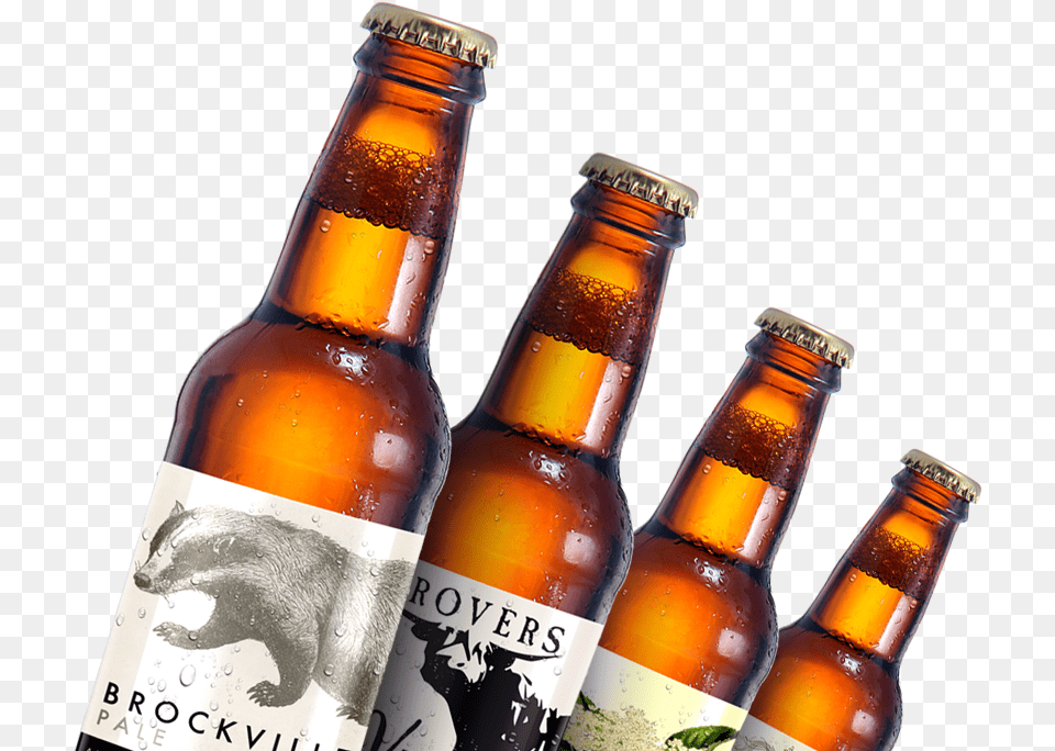 Beer Bottle, Alcohol, Liquor, Beverage, Beer Bottle Png Image