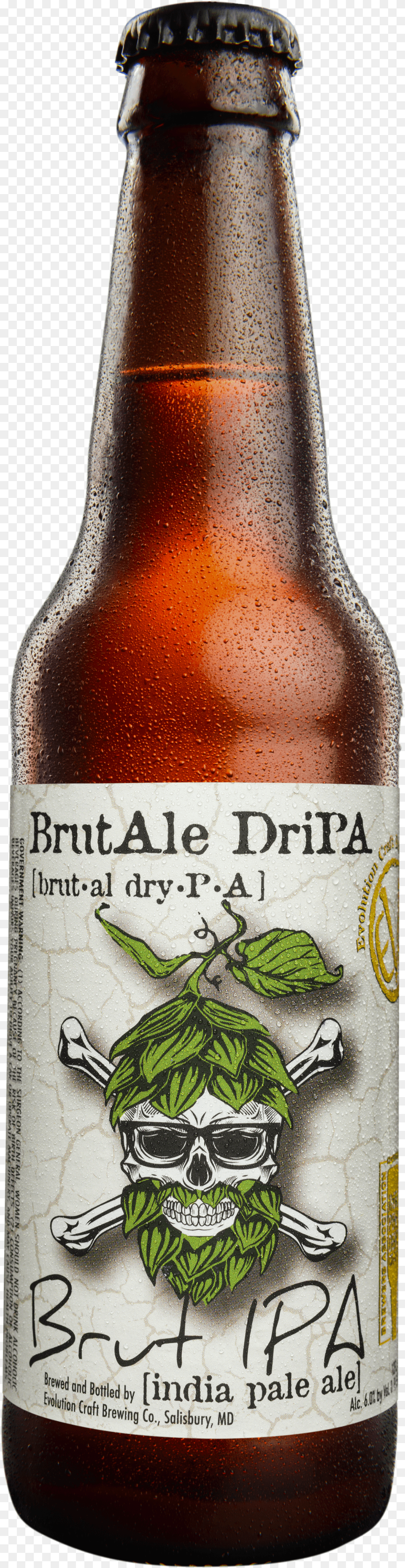 Beer Bottle Free Png