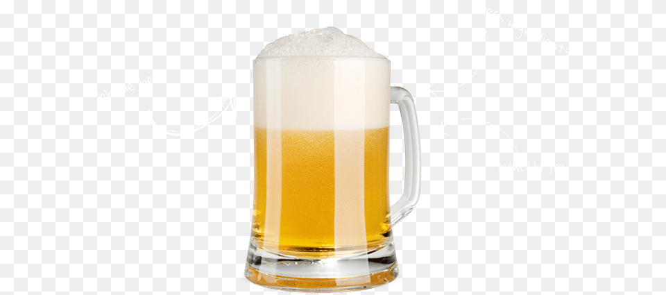 Beer Brewed By You Beer Mugs, Alcohol, Beverage, Cup, Glass Free Png Download