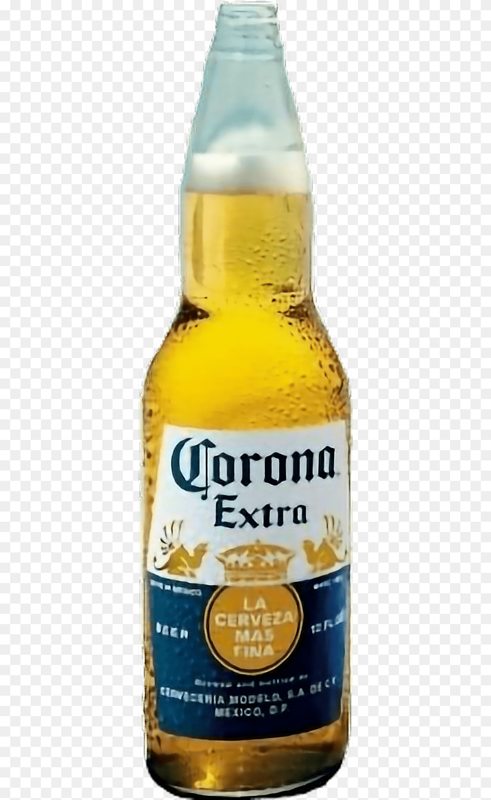 Beer Cheer Cerveza Corona Corona Extra, Alcohol, Beer Bottle, Beverage, Bottle Free Png