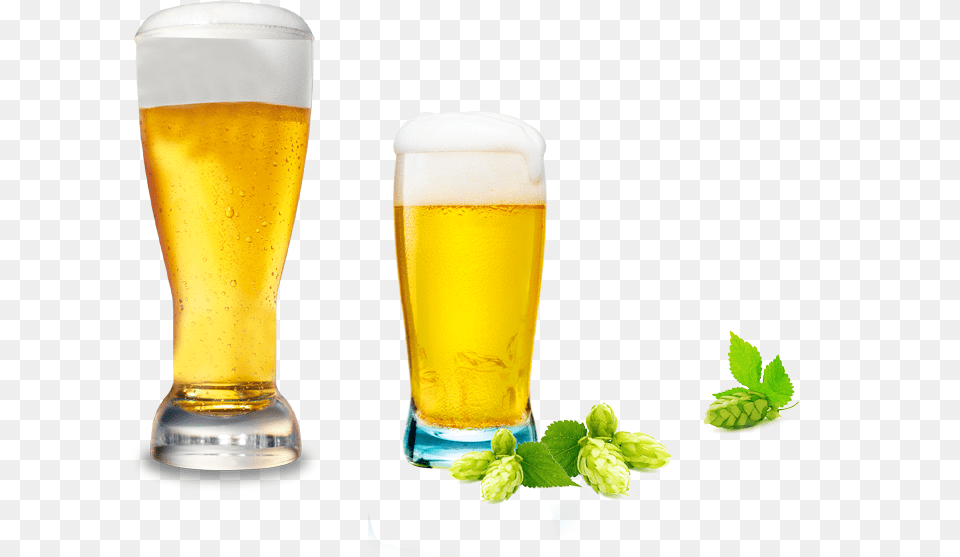 Beer Cup Banner Transparent Cup Beer, Alcohol, Beverage, Glass, Beer Glass Png