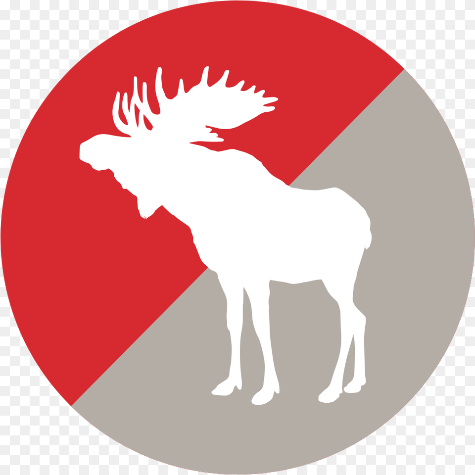 Beer D D Bullwinkel, Logo, Animal, Mammal Free Png Download