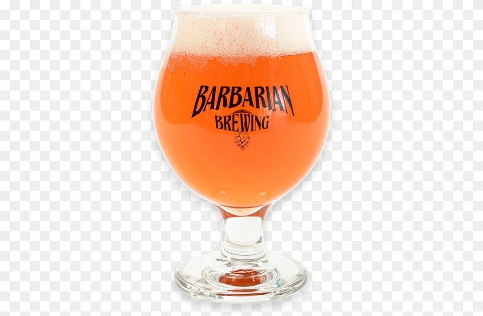 Beer Glass, Alcohol, Beverage, Lager, Beer Glass Png