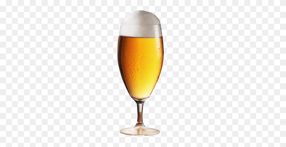 Beer Glass, Alcohol, Beverage, Lager, Beer Glass Free Transparent Png